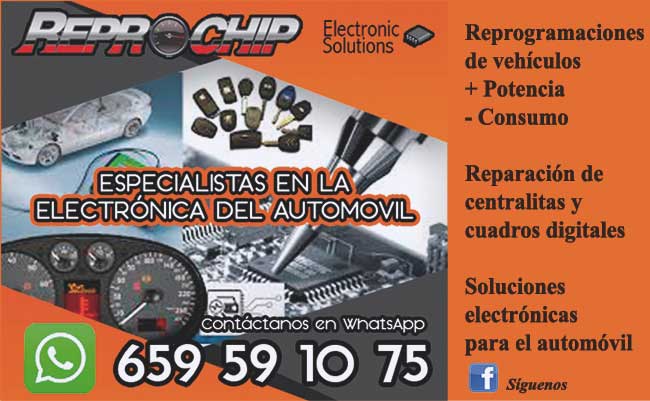 Reprochip