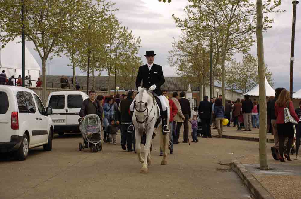  El Concurso Morfol�gico de Caballos PRE 