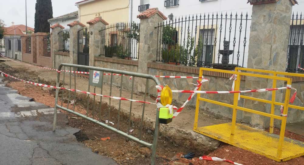 Critican el arrancamiento de varios �rboles