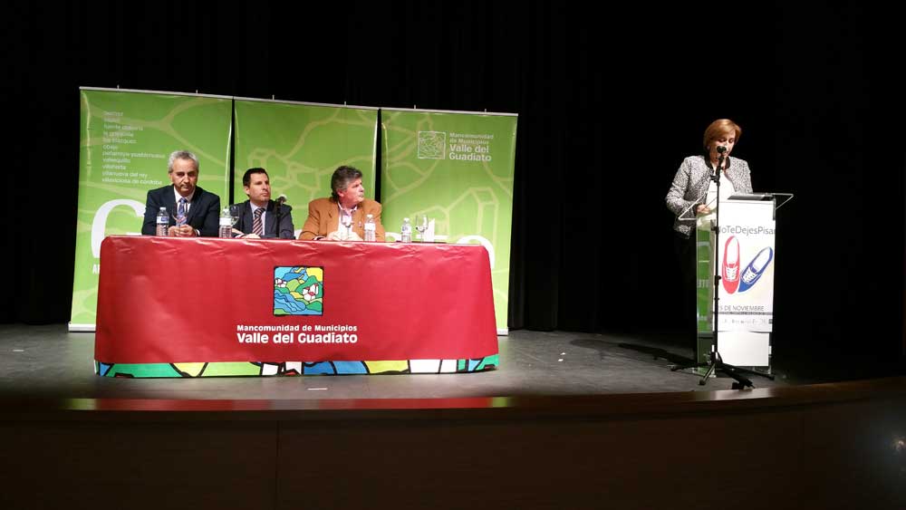 D�a Internacional contra la Violencia de G�nero