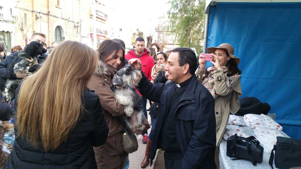 Bendici�n de animales por San Ant�n
