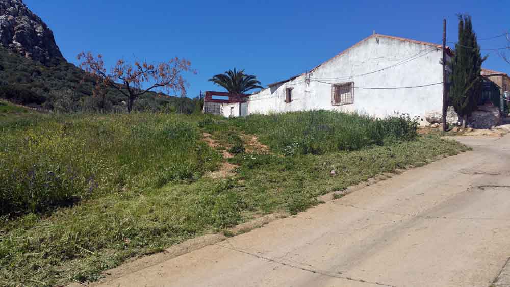 El Ayuntamiento actuar� en la calle Puerto