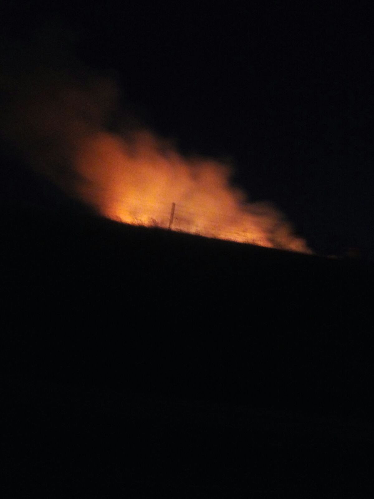 Un incendio arrasa tres hect�reas de pasto en Cerro Camello