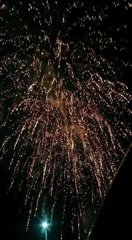 Feria de Nuestra Se�ora del Rosario