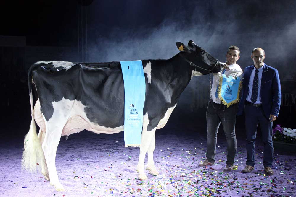 Copada Fever 5 Gran Vaca Campeona en esta edicin