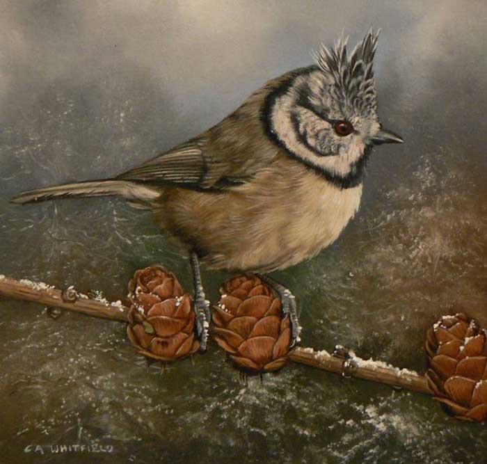 El paraíso de los pájaros