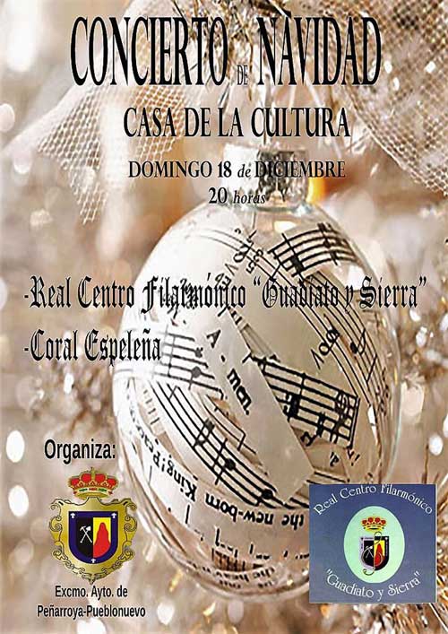 Concierto de Navidad