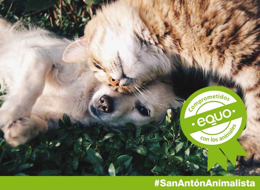 Sobre el D�a de San Ant�n