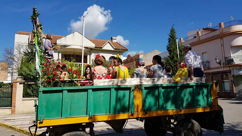 Romer�a de San Isidro en Pe�arroya Pueblonuevo