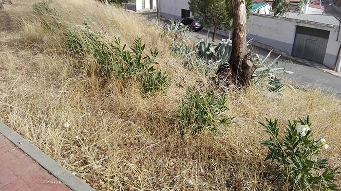 Abandono y dejadez en la barriada