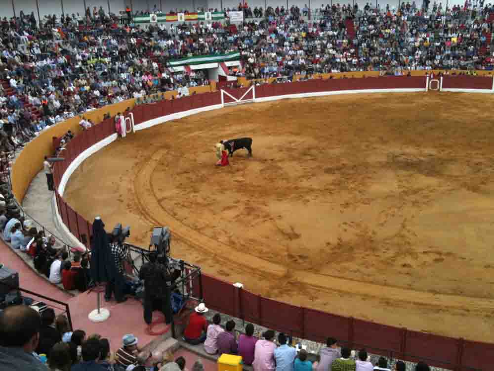 Ciclo de novilladas de promocin 