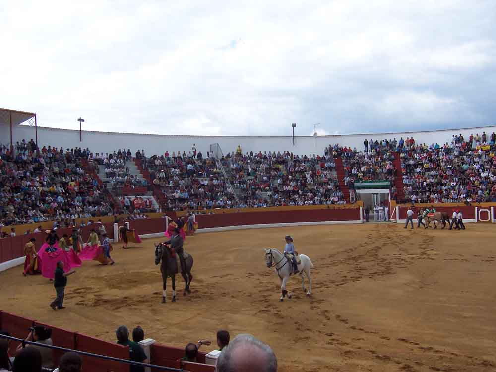 Ciclo de novilladas de promocin 