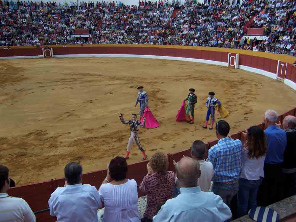 Ciclo de novilladas de promocin 