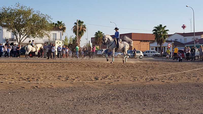 Espect�culo pirot�cnico