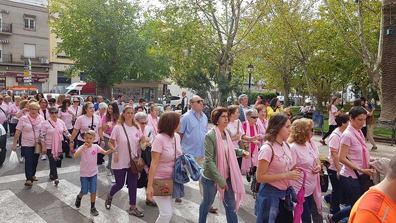 Unas 300 personas participan en la marcha rosa