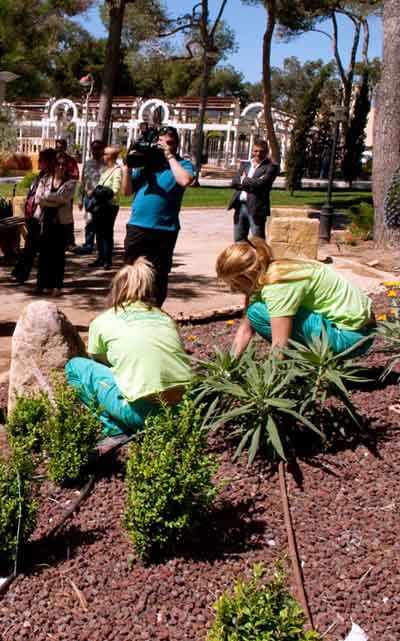 �Adecentamiento de edificios y jardines p�blicos�,