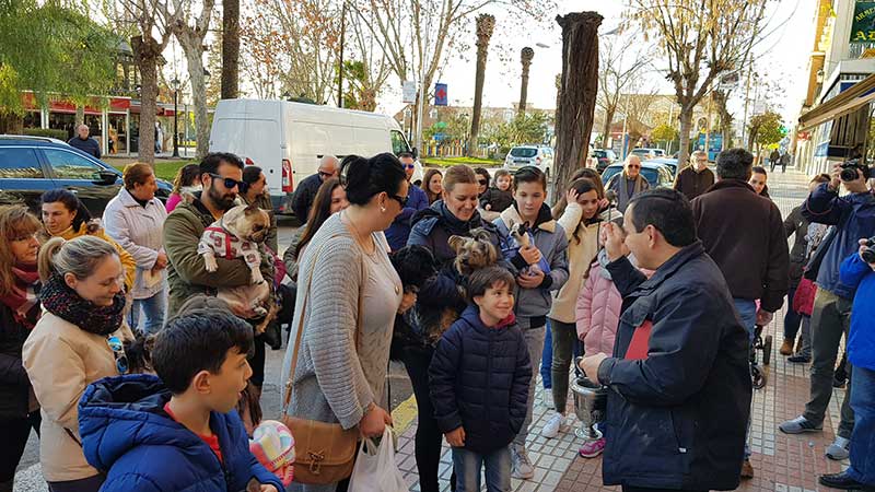 Las mascotas protagonistas en la bendici�n de San Ant�n