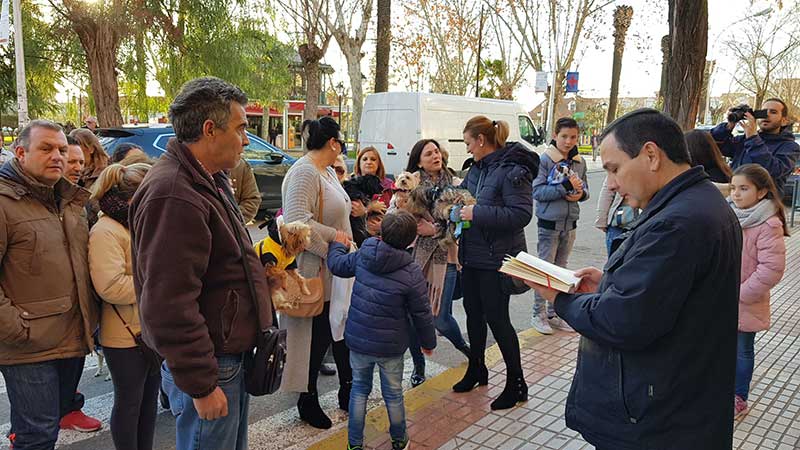 Las mascotas protagonistas en la bendici�n de San Ant�n