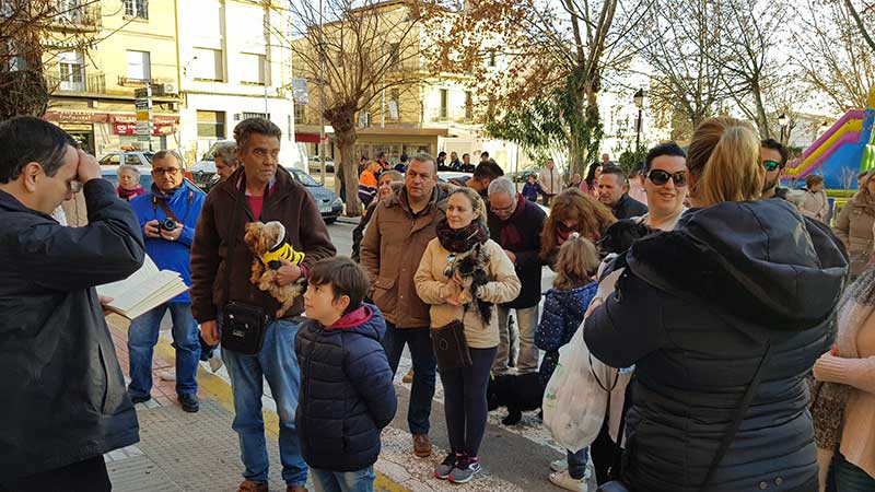Las mascotas protagonistas en la bendici�n de San Ant�n