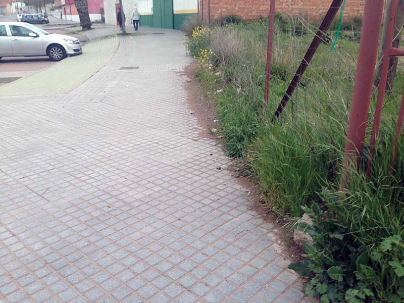 Abandono de hierbas en las aceras,  Avda. Andaluc�a