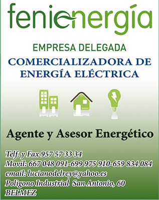 Fenienergia