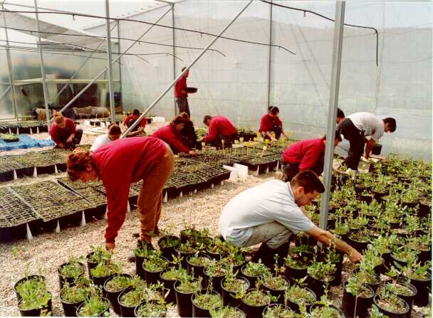 Talleres de empleo y escuelas taller