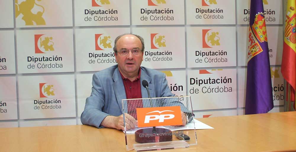 Portavoz popular en el Diputacin Provincial, Luis Martn