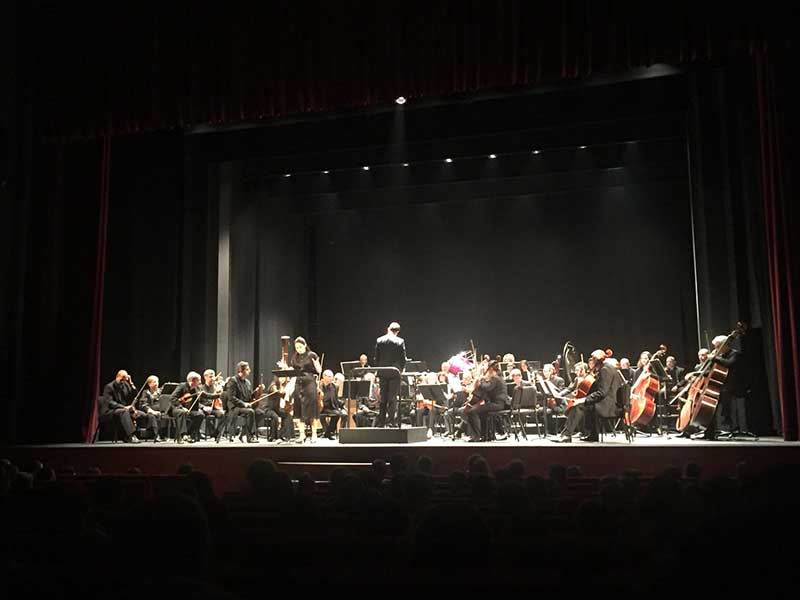 Conciertos didcticos del rea de Cultura de la Diputacin 