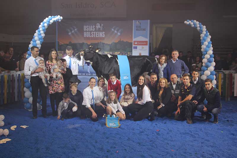 La Feria del Ganado Frisón atrae a más público profesional