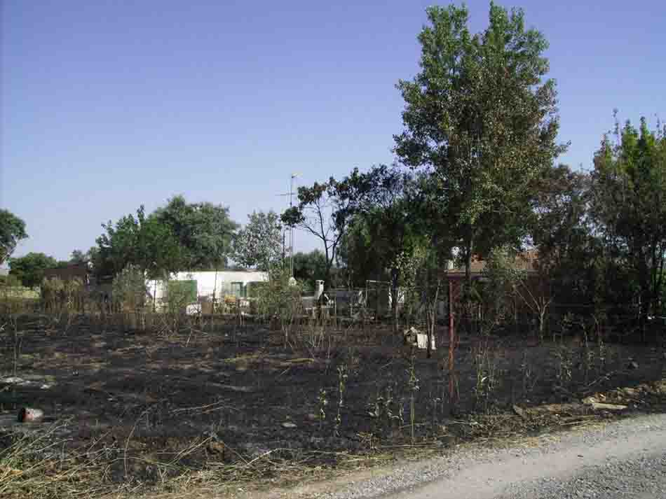 Un incendio provocado