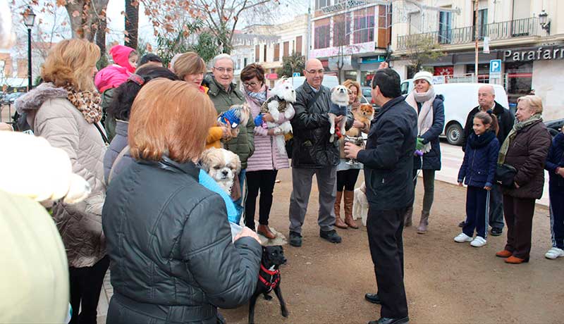 Mascotas protagonistas en la bendici�n