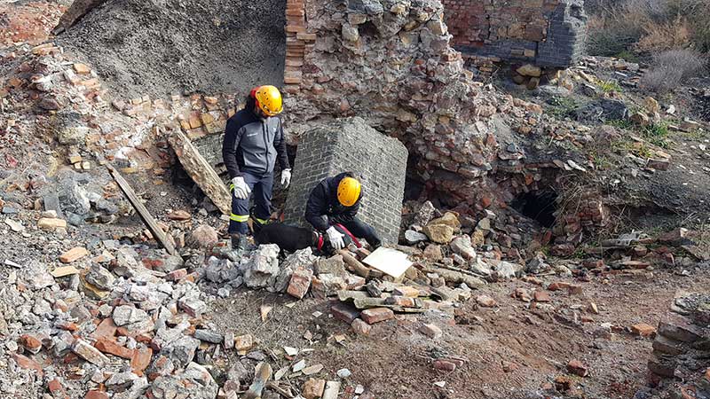 Unidades caninas de los bomberos de C�rdoba y C�diz