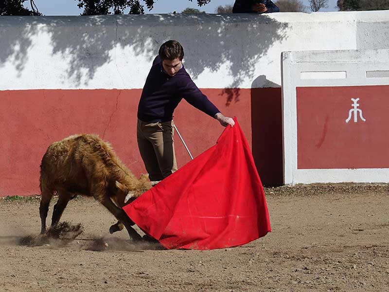Juan Enrique Denamiel pone a punto su preparacin
