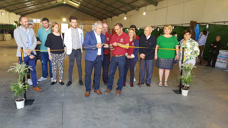 Feria agroganadera, muestras y alimentacin de Belmez