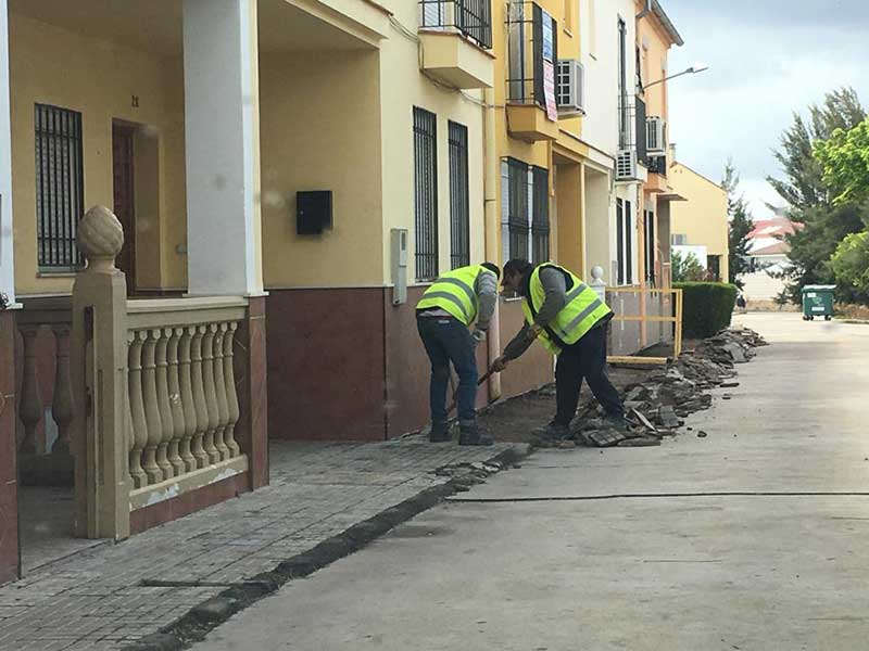 Sustituci�n del acerado en la avenida de Los Pinos