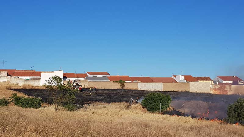 Incendio en  �Campo Reseco�