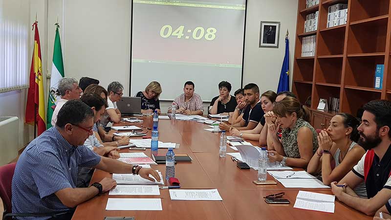 Pleno del mes de julio