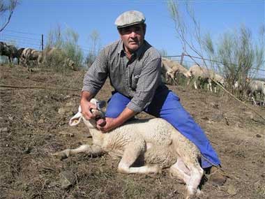 Proyecto desestimado