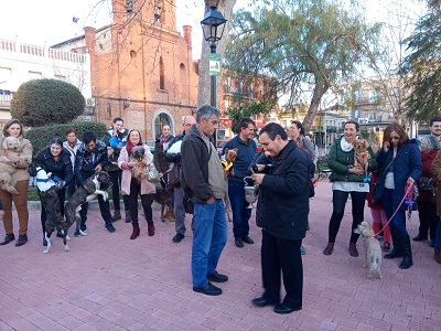 Mascotas protagonistas en la bendici�n de San Ant�n