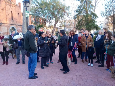 Mascotas protagonistas en la bendici�n de San Ant�n