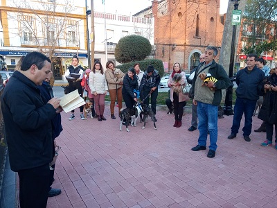 Mascotas protagonistas en la bendici�n de San Ant�n