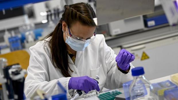 Los casos de Covid-19 en Pe�arroya suben a 14