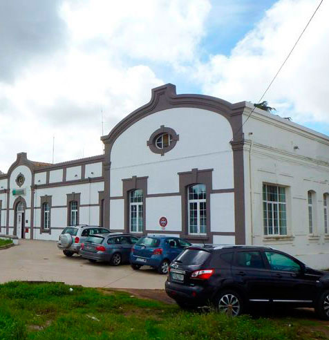 Vacunaci�n contra la gripe