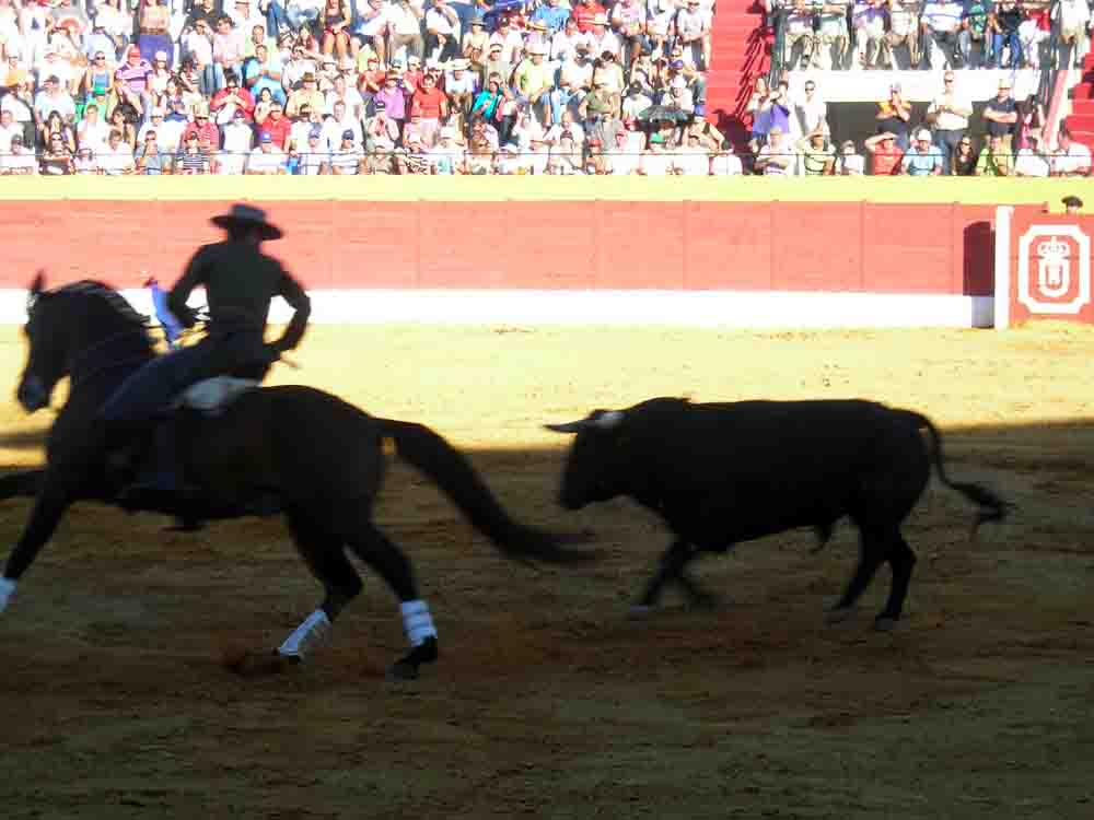 Espectculo taurino en Belmez