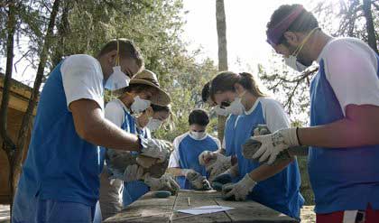 Campos de Voluntariado dirigidos a jvenes