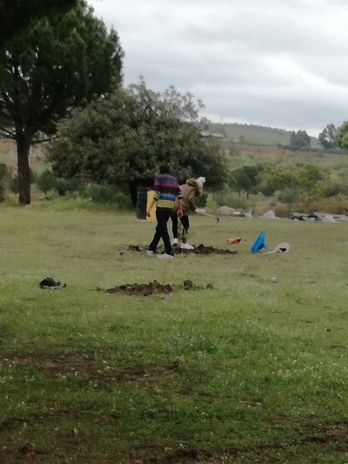 Repoblacin de rboles la Va Verde de la Maquilla