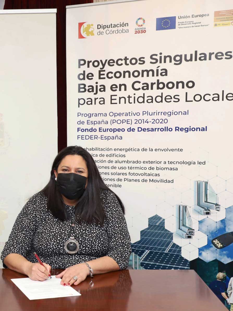 Cambio de 248 luminarias ms