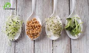 La buena cocina Receta 26