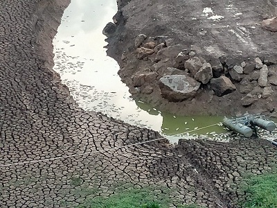  Sierra Boyera, muerte de cientos de peces