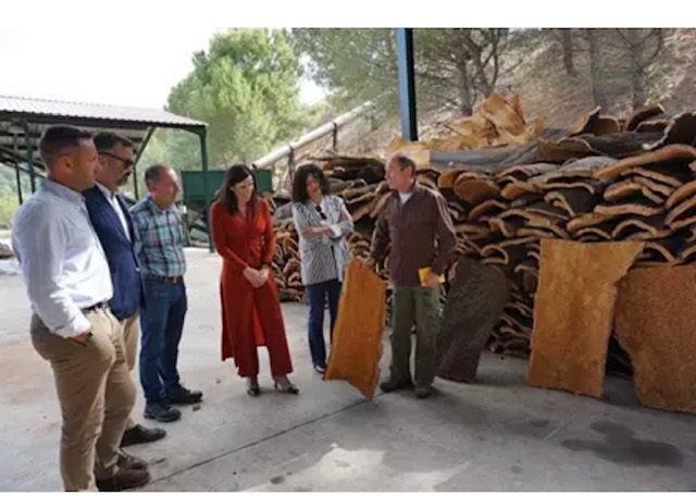 Glvez visita de Villaviciosa de Crdoba